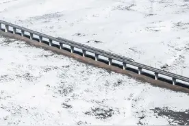 “110吗？有高铁在飙车，时速至少300公里！”110：管不了，也追不上图片
