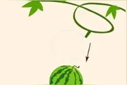 猜成语：23456789（打一成语）你知道成语和意思吗？图片