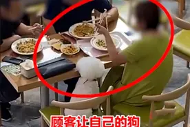 辽宁鞍山一女子在饭店吃饭，不仅让狗上桌舔食，还用筷子给狗喂食图片