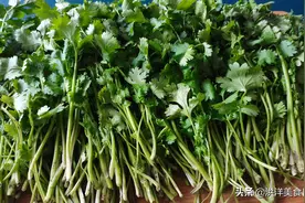 爱吃香菜的看过来，教你做香菜馅的包子，外皮暄软，馅鲜香图片