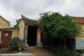 农村俗语“房前不栽竹，屋后不栽树”为什么房前不能栽竹子图片