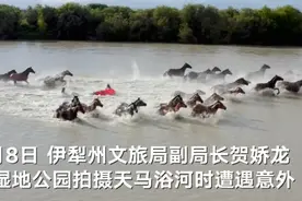 网红女副局长回应骑马拍摄摔落河中：身体已无大碍 为宣传家乡一切都值得图片