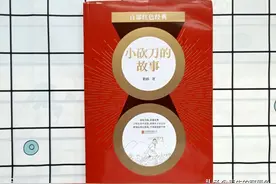 习武小少年的传奇故事图片