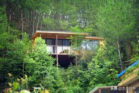 村民在树林中做别墅，房子建“悬空”，自称世外桃源图片