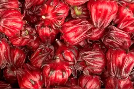 鲜为人知的“红色花茶”，大家有知道的么？图片