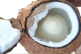小伙买椰子喝，打开竟然没有一滴椰汁，老板看了：你运气太好了图片