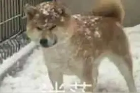 广东合格考60分才及格？高三补考多少分才有C？考试院这样回应了图片
