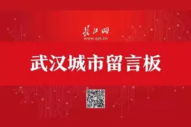 武汉公交295路有望成“大站快车” 青山将新改建8座公厕图片