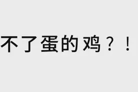 3集就停播！这国产片毁三观了图片