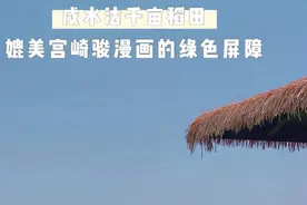 1号线直达！天津竟有个千亩稻田，怪不得这么多美女来……图片