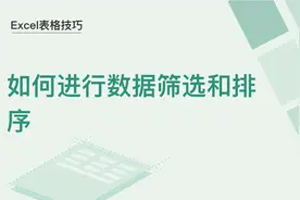 Excel表格技巧—如何进行数据筛选和排序图片