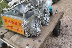 56岁大叔穿280斤铁鞋运动，11小时38分跑完百公里图片