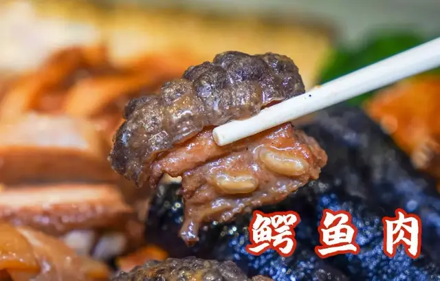 鳄鱼肉和花胶和海参 2026年鳄鱼肉和花胶和海参哪个好