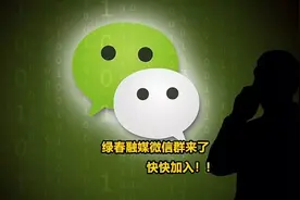 绿春便民微信群来了，亲们快快组队入群吧图片