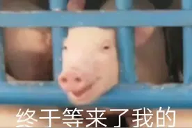 沙雕表情包：我怎么这么的可爱图片