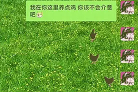 在微信里养“宠物”，突然火了图片