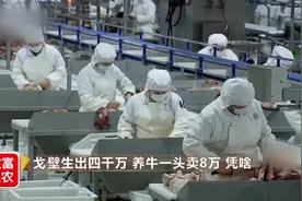 800公斤牛价值10万元，种公牛为啥值钱？同周期商品牛翻倍