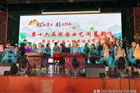 莲花在富盛盛开图片