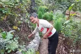 农村87岁老人住石头房，烧柴做饭，一袋盐吃半年，每年不花一分钱图片