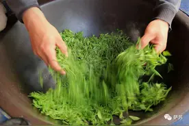 为什么我不大喜欢喝茶？一片树叶喝出千百种味，是有闲阶级的矫性图片