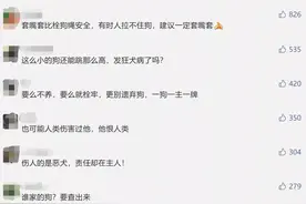 黑色恶犬连续咬伤21人，最小的才3岁！谁的责任？图片