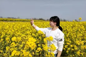 ​泾川刘家沟村：千亩油菜花海等你来图片