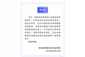 桃色事件牵出贪腐问题？绿地集团发表声明图片