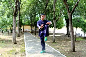 陈式太极拳老架技击十大劲论—按劲论图片