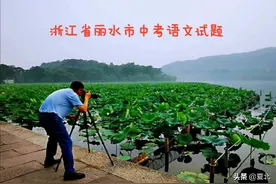 2020年浙江省丽水市中考语文试题及答案图片