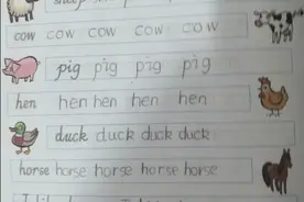 小学英语公办学校“放水”？图片