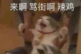 表情｜来啊，骂街啊辣鸡图片