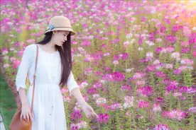 有一种女人，很“旺夫”，遇到要珍惜图片