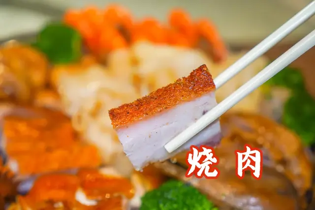 鳄鱼肉和花胶和海参 2026年鳄鱼肉和花胶和海参哪个好