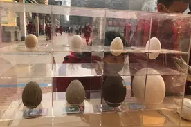 世界野生动植物日：小手拉大手“关爱野生动物 保护美丽自然”图片