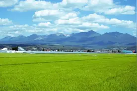 《二十四史》经典24句：知进而不知退，知欲而不知足图片