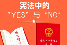 宪法里的“YES”与“NO”图片