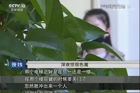 身穿红色内衣的男人、午夜回家的曼妙女人，电梯间上演怎样惊魂？图片