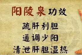 常按阳陵泉清肝胆邪火，人体自带的“龙胆泻肝丸”图片