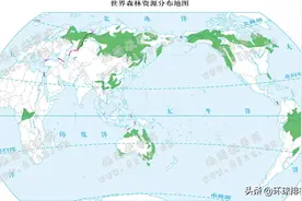 世界各国森林面积排名Top10图片