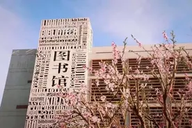 全球语言教育共同体倡议（北京2021）Global Language Education Community Initiative (Beijing 2021)图片