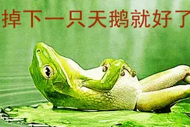 “癞蛤蟆想吃天鹅肉”的历史故事和由来图片