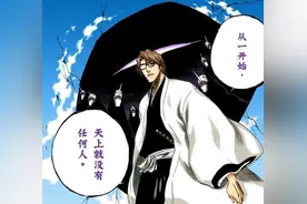 死神：Bleach系列永远的神——蓝染惣右介图片