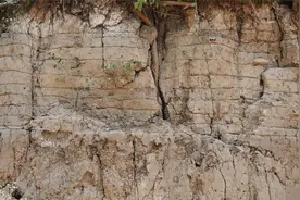 河南一座不起眼土堆，竟是2600年前夯土古城，问鼎中原就发生在此图片