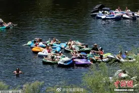 恐怖！美国得克萨斯州出现食脑虫 能从鼻腔进入感染大脑图片