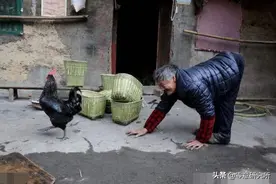 真实存在的爬行人，人类到底分几种？图片