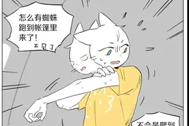 狼仆和猫：你头上有只蜘蛛图片