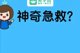 宝宝磕掉的牙还能接上吗？别被误导，能不能看1点图片