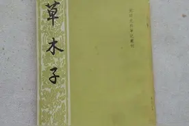 张宏杰：最痛恨贪官的皇帝图片