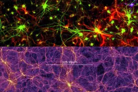 宇宙类似大27个数量级的人脑？科学家发现大量令人震惊相似之处图片