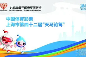 上海市第三届市民运动会 中国体育彩票·上海市第四十二届天马论驾场完美落幕图片